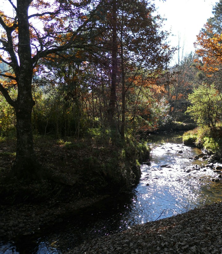Broederstroom, Magoebaskloof, Limpopo, South Africa