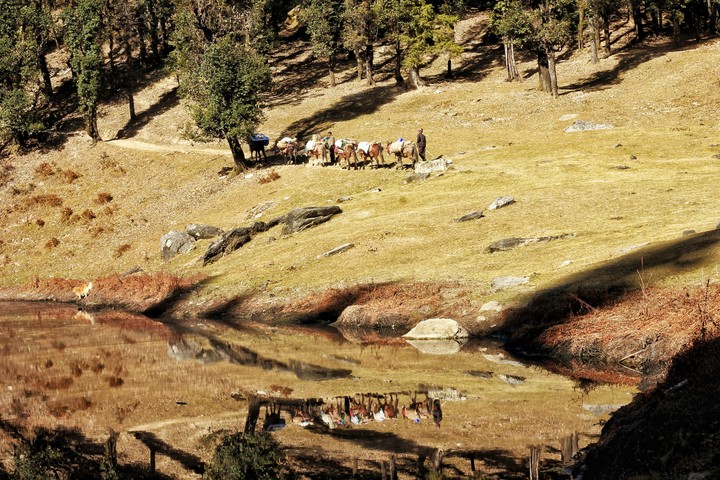 Mountain cabs