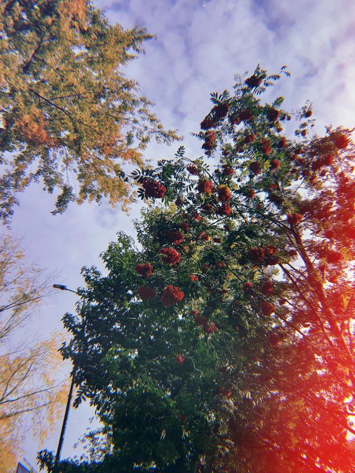 осень