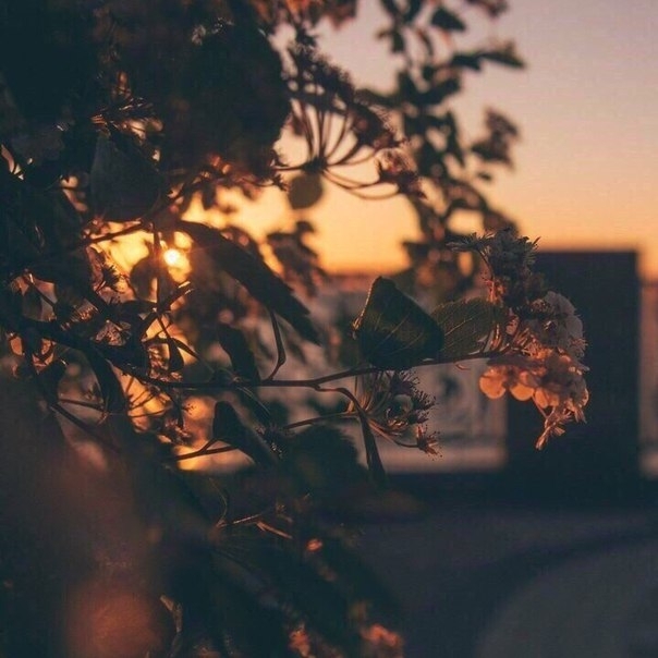 summer evening
