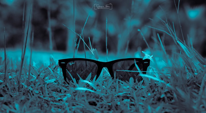 Sunglass