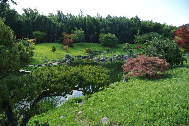 jardin japonais