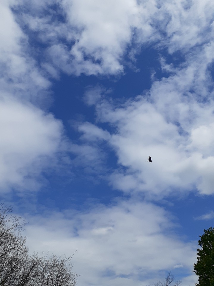 Flight