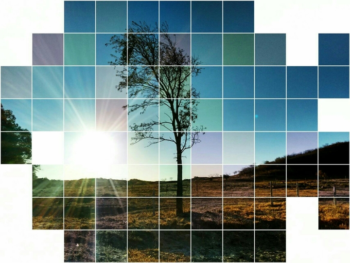 New Nature