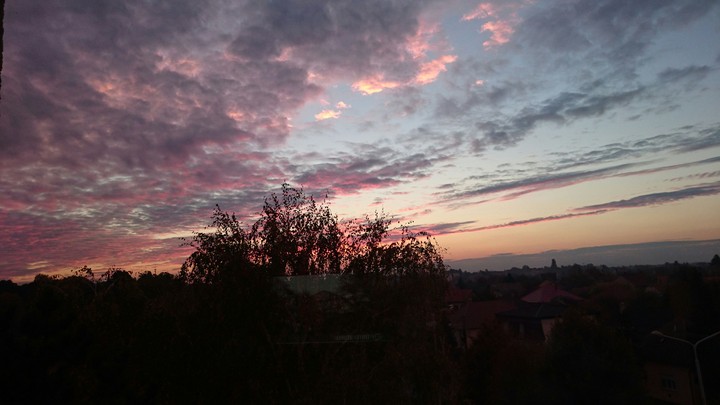 evening