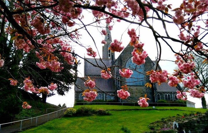 st patrick church