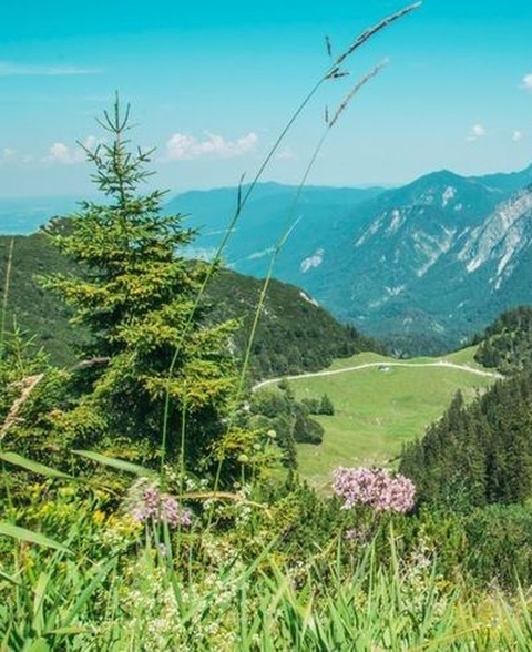 Green, Mountainous_landforms, Vegetation