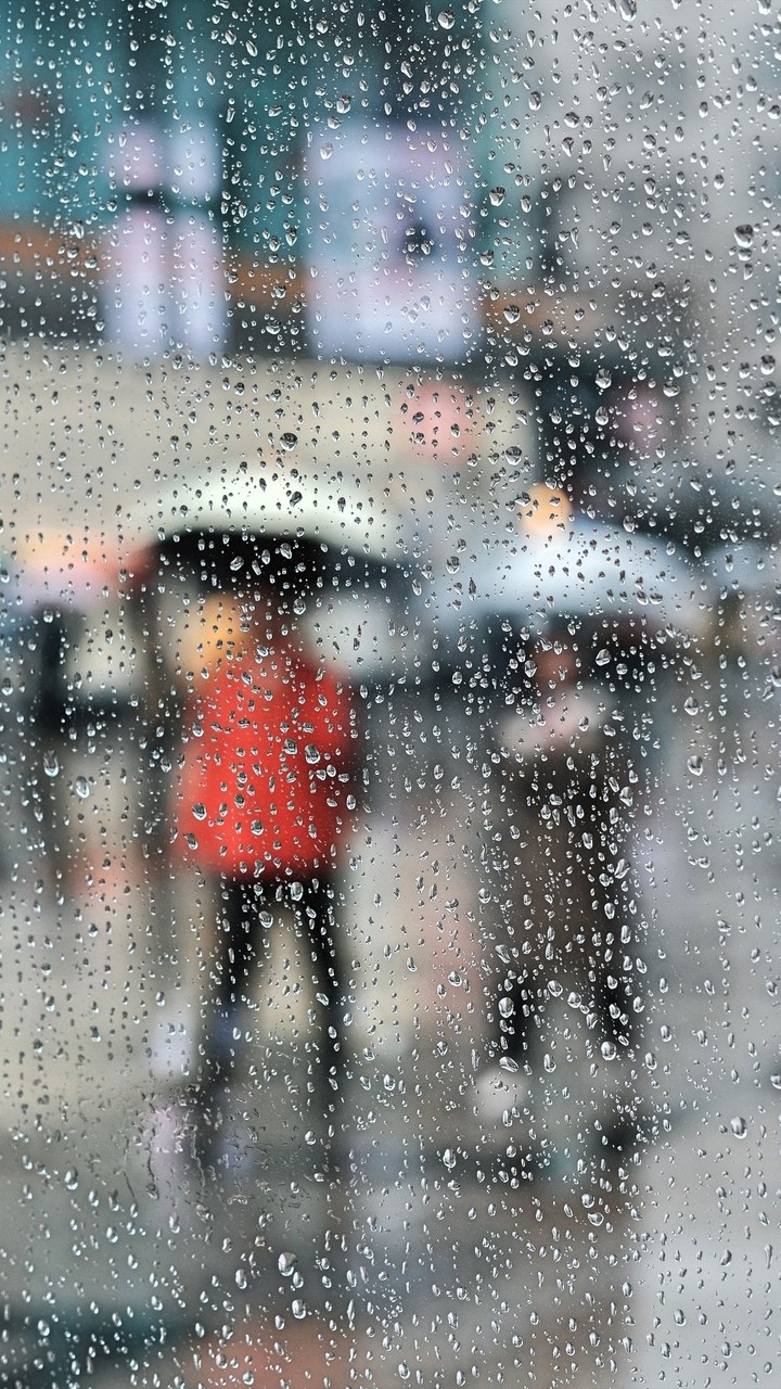 Rain 