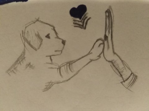 LOVE ?