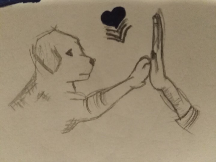 LOVE ?