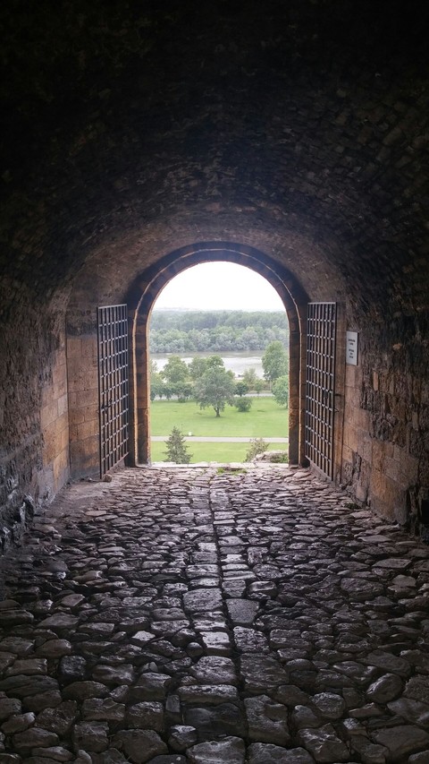 The door
