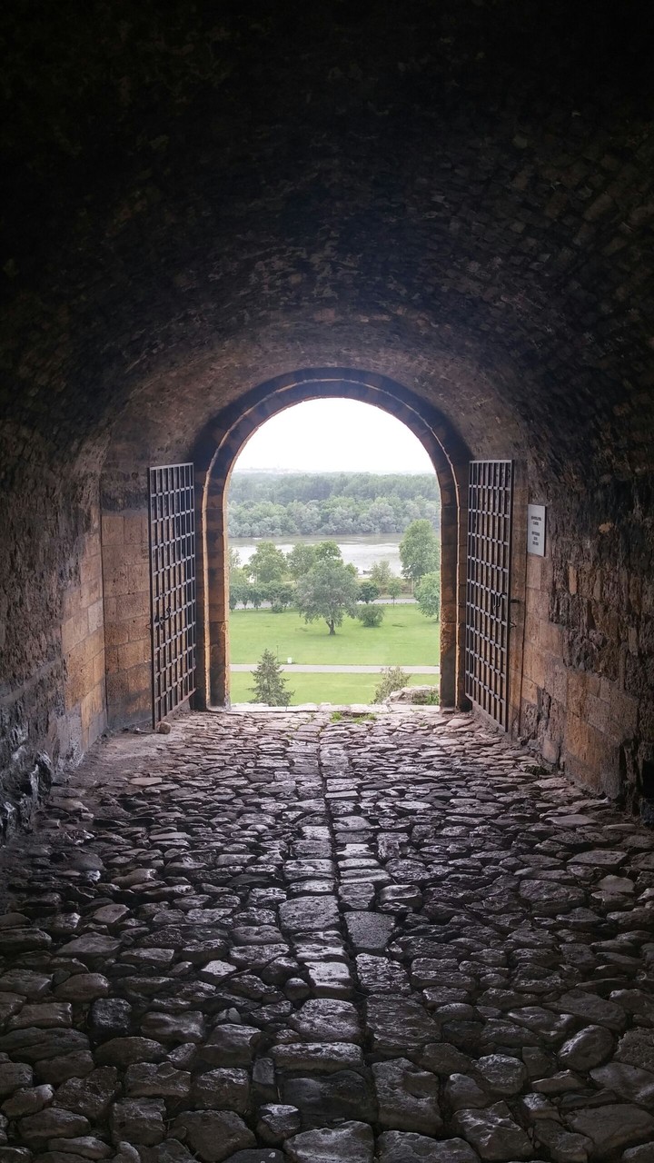 The door