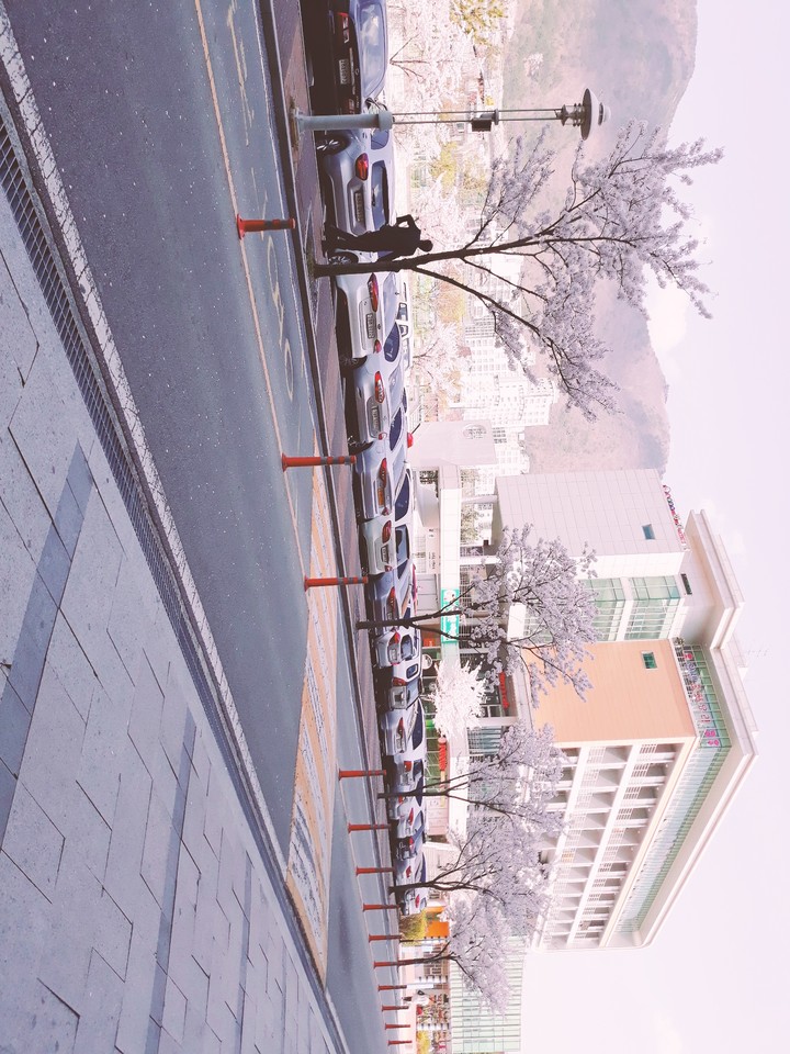 spring