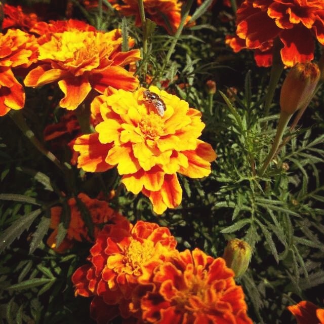#Photography
