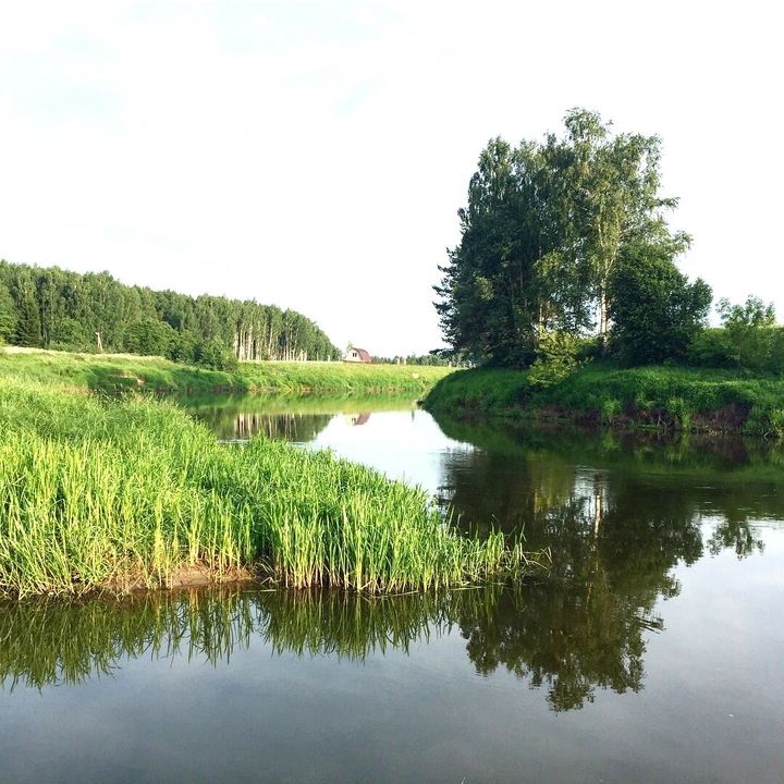nature
