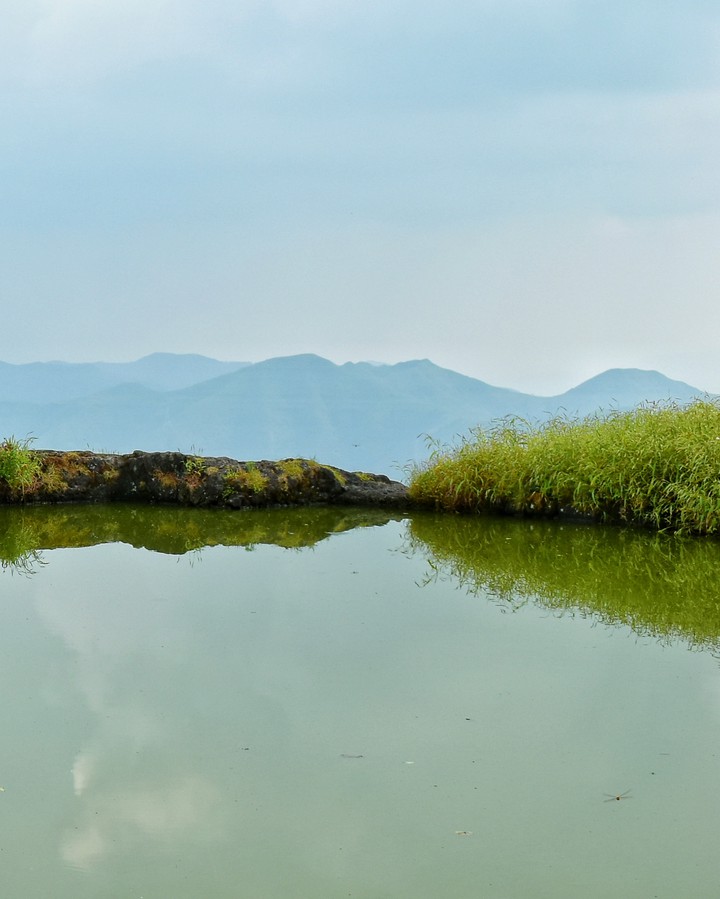 pond on fort