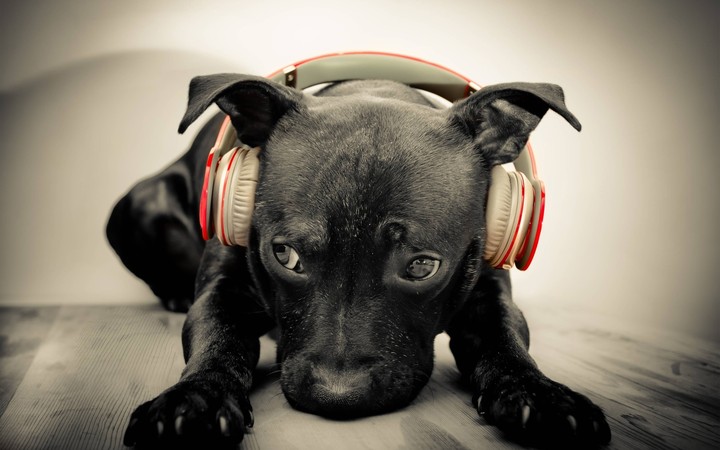 Passionate about music