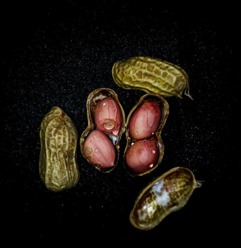 Peanuts
