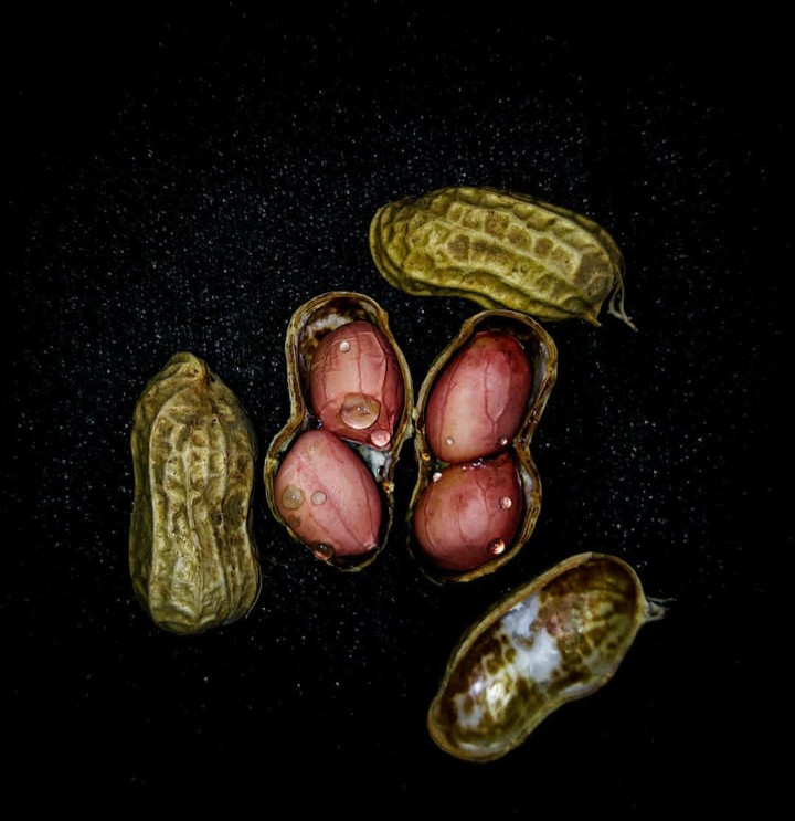 Peanuts