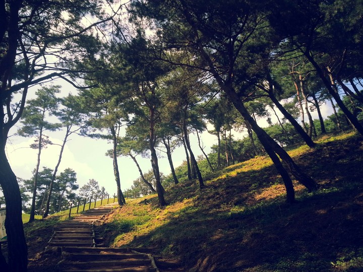 mountain