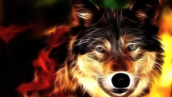 Wolf