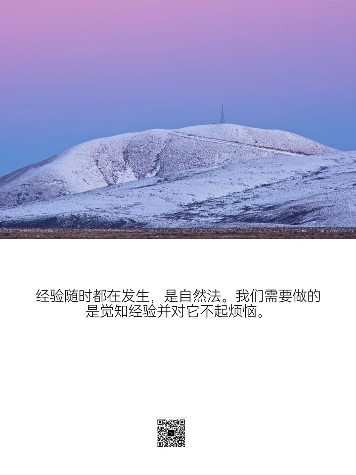 不行动