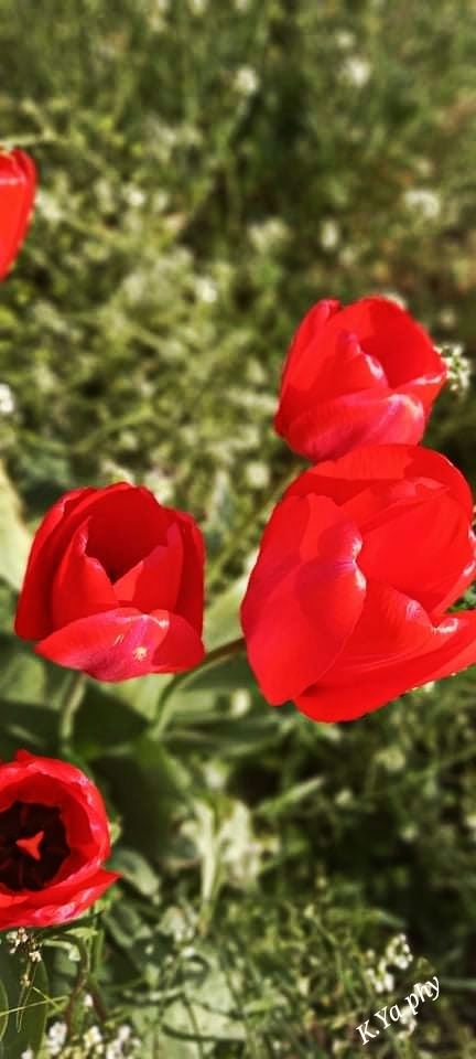 Природа