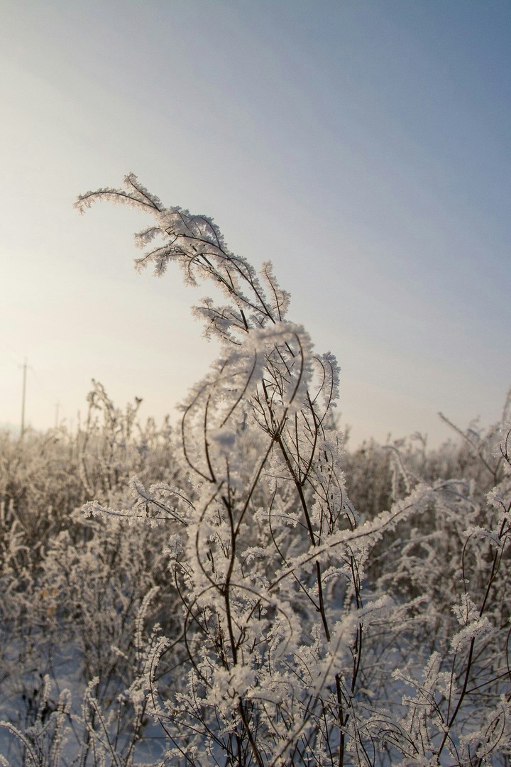 winter is here