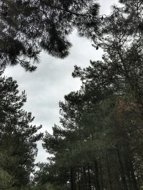 Sky..