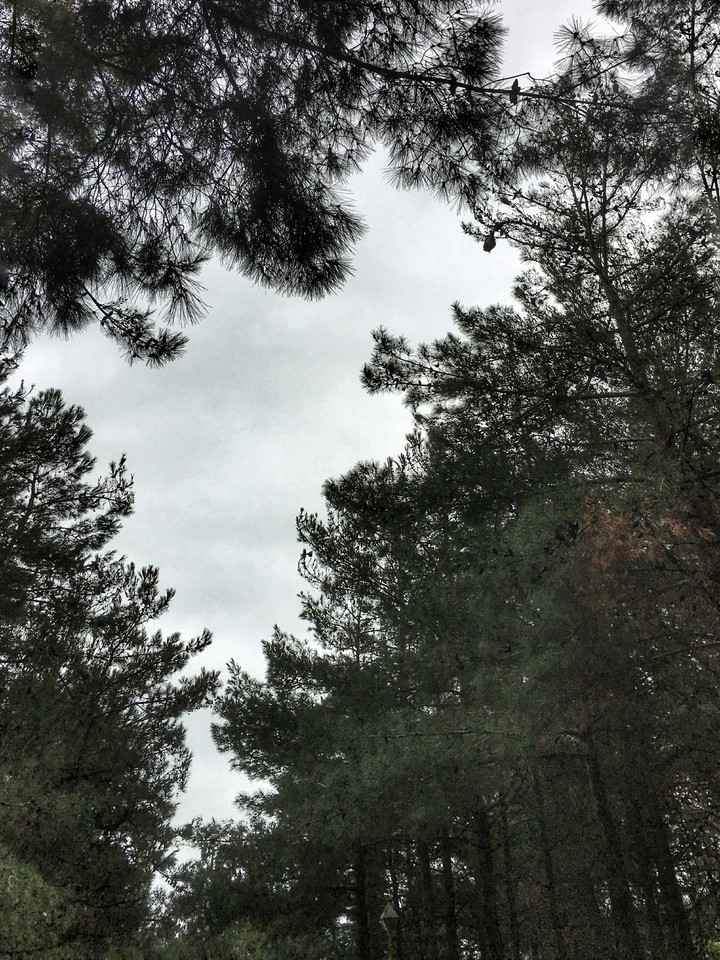 Sky..