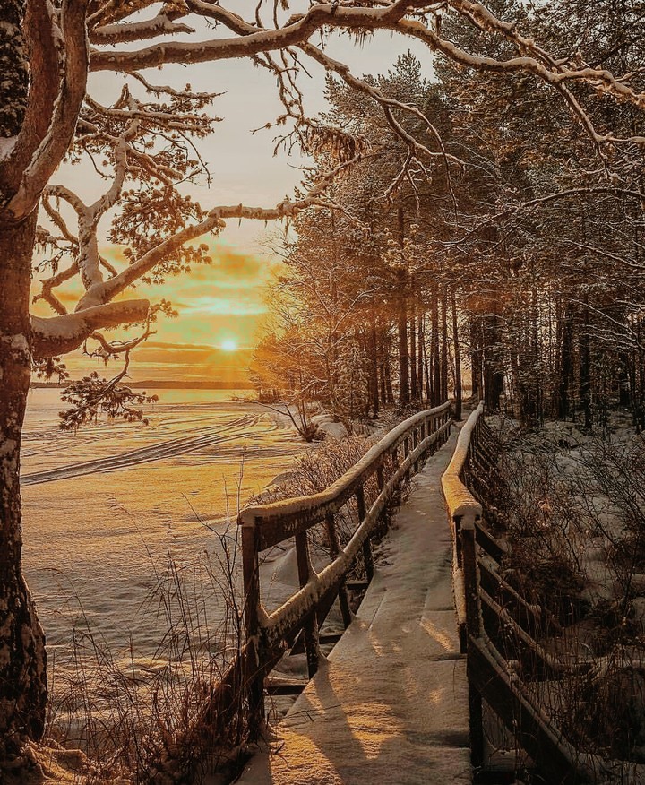 scenery