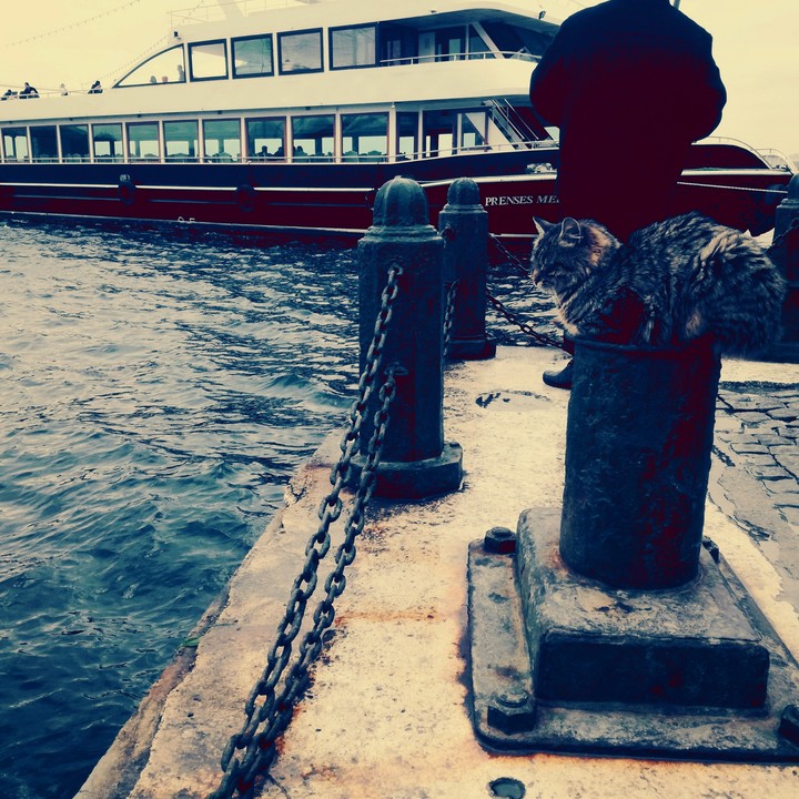 Ortakoy
