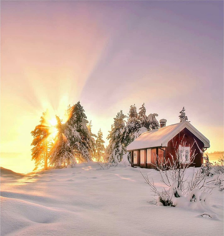 snow in sun