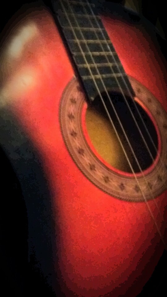 Guitar Lover