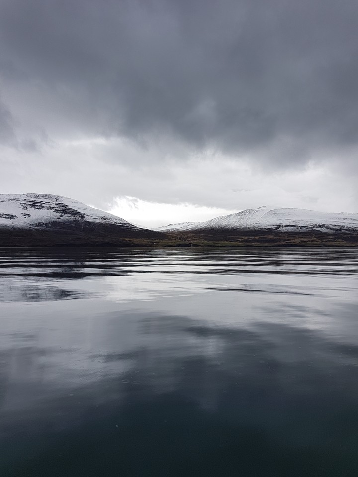 Icelandic fjords.