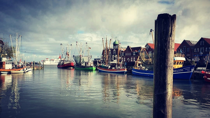 Harbour