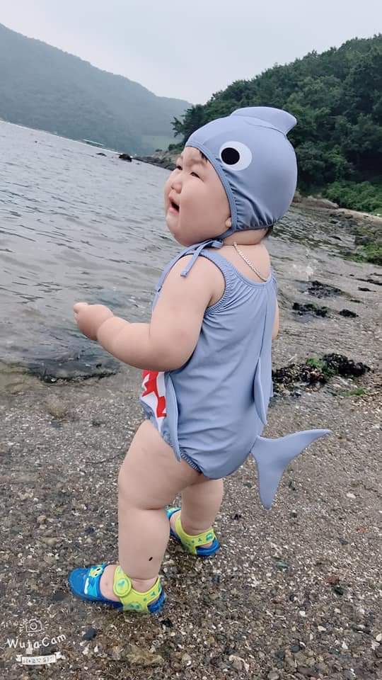 shark