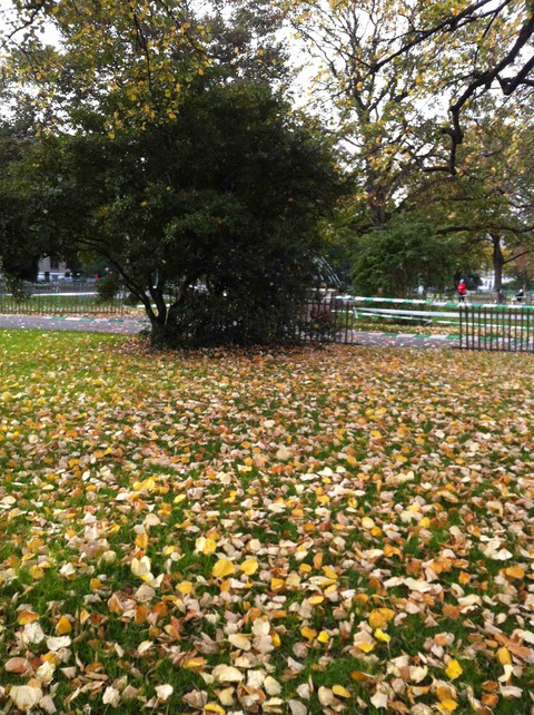 autumn
