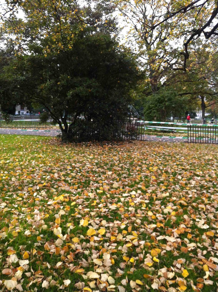 autumn