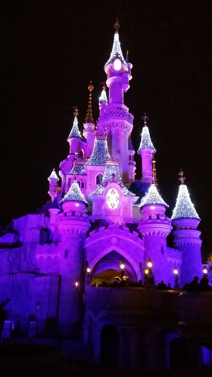 castle of sleeping beauty