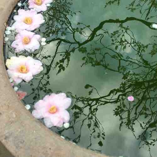 fuente
