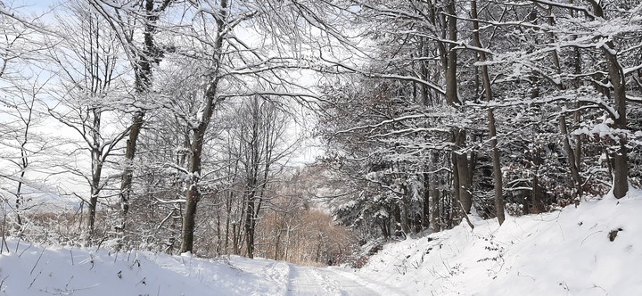 Down the road