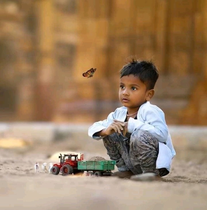 My Toy , My World