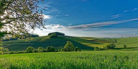 Nature