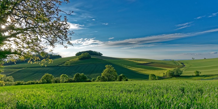 Nature
