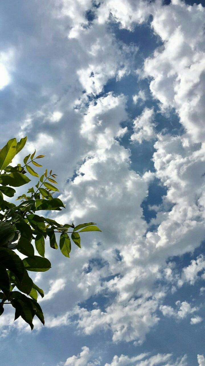 blue sky