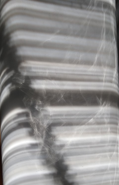 Sun rays on porcelain