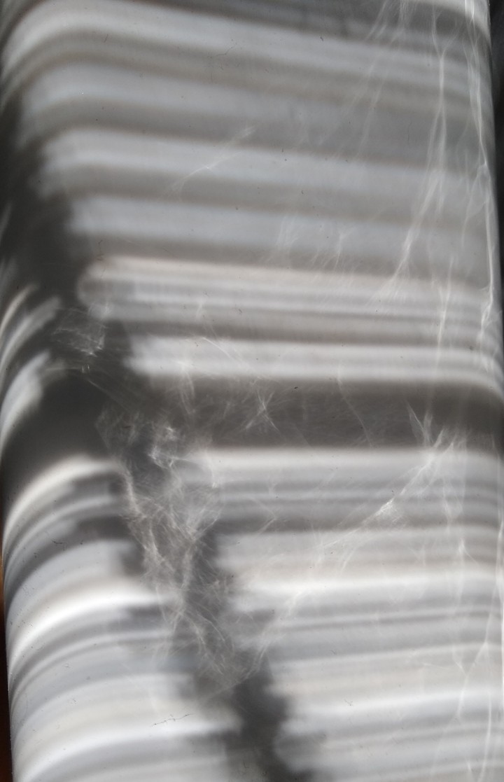 Sun rays on porcelain