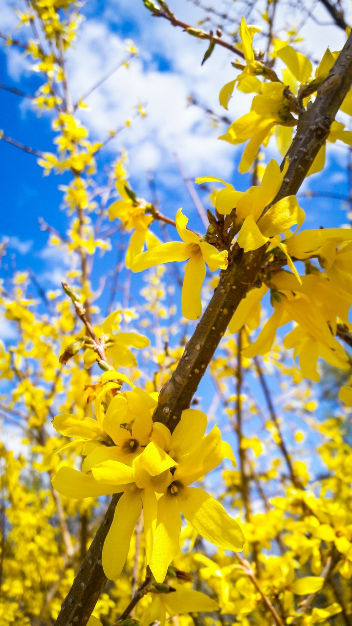 spring time