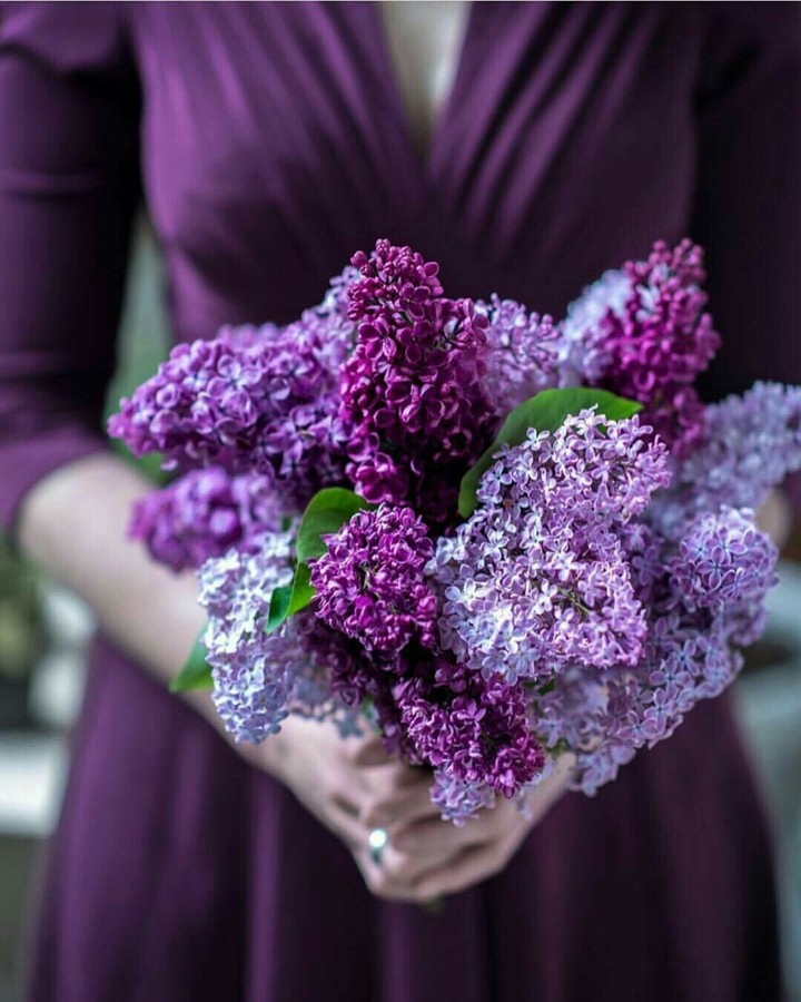 beautiful